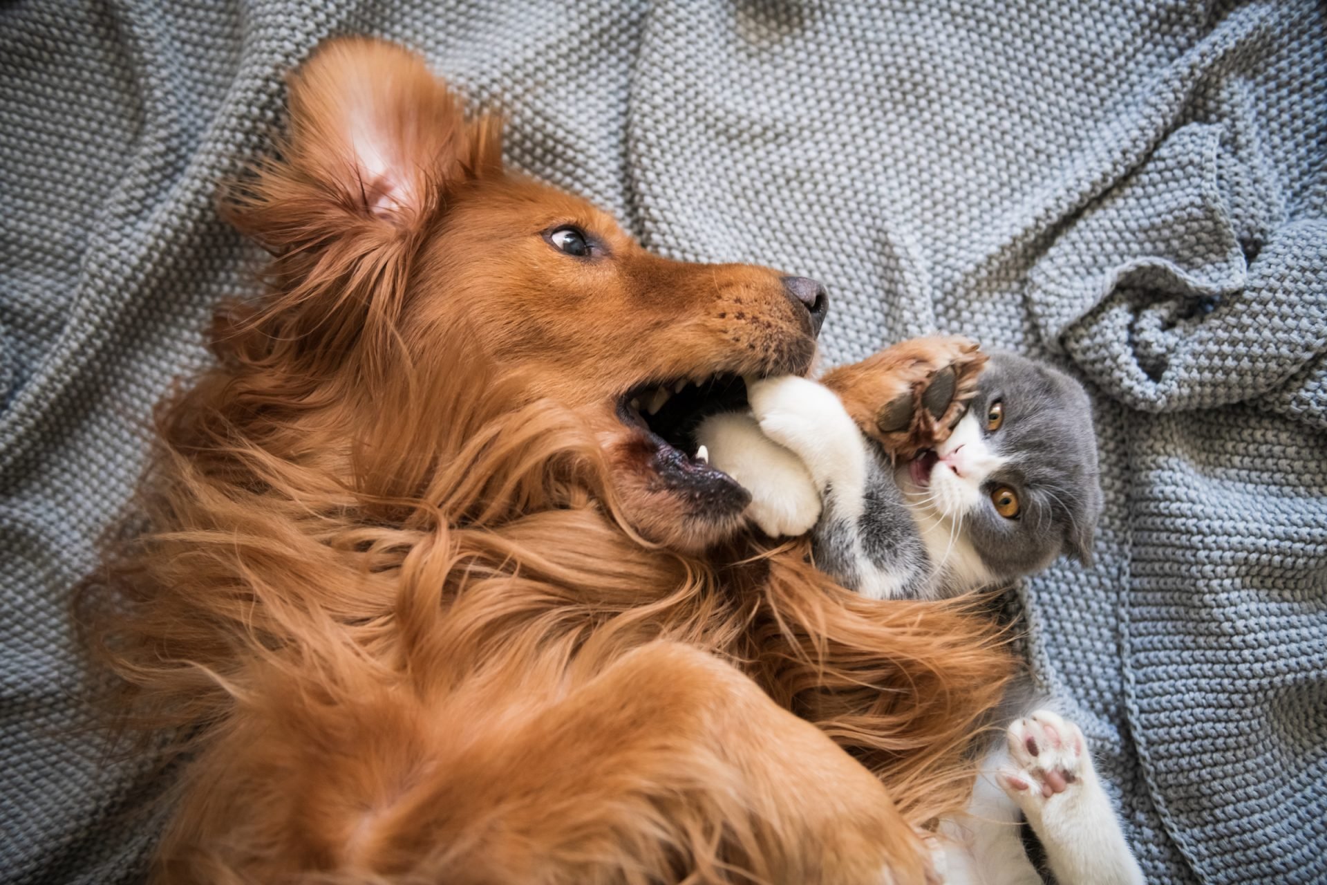 2020_11_gettyimages-1083941404-scaled.jpg