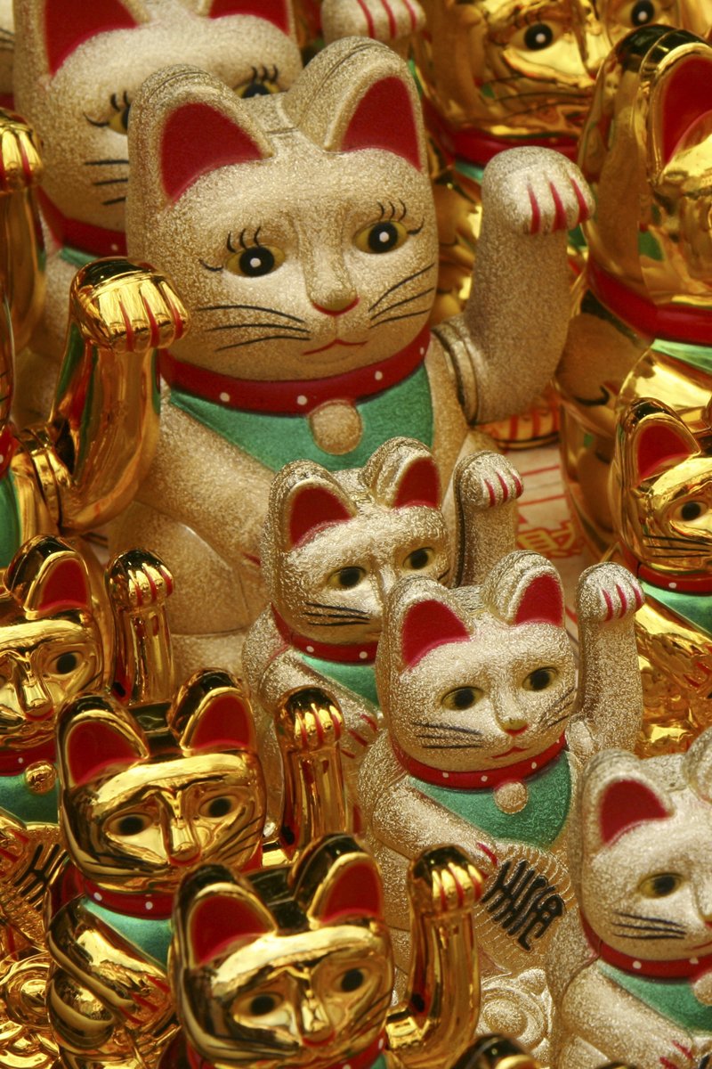 Maneki Neko, japán csonkafarkú macska