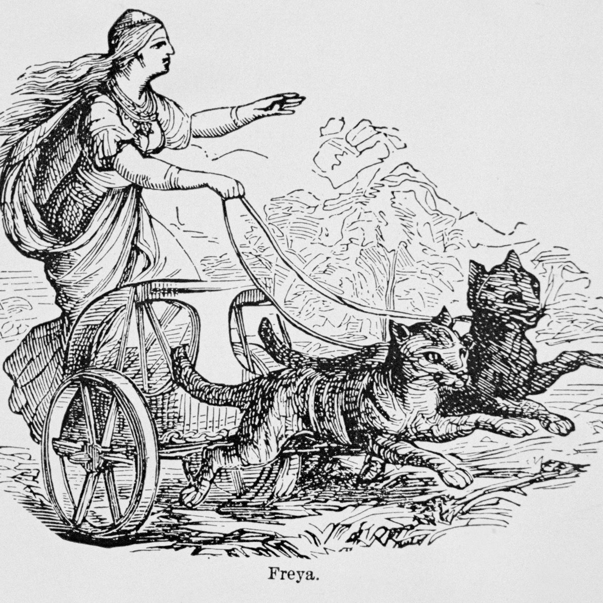 Freya istennő macska