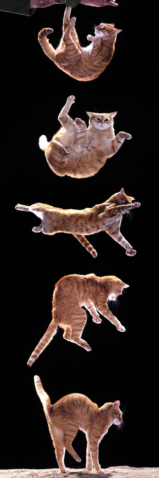 2022_06_gettyimages-614267634-scaled.jpg
