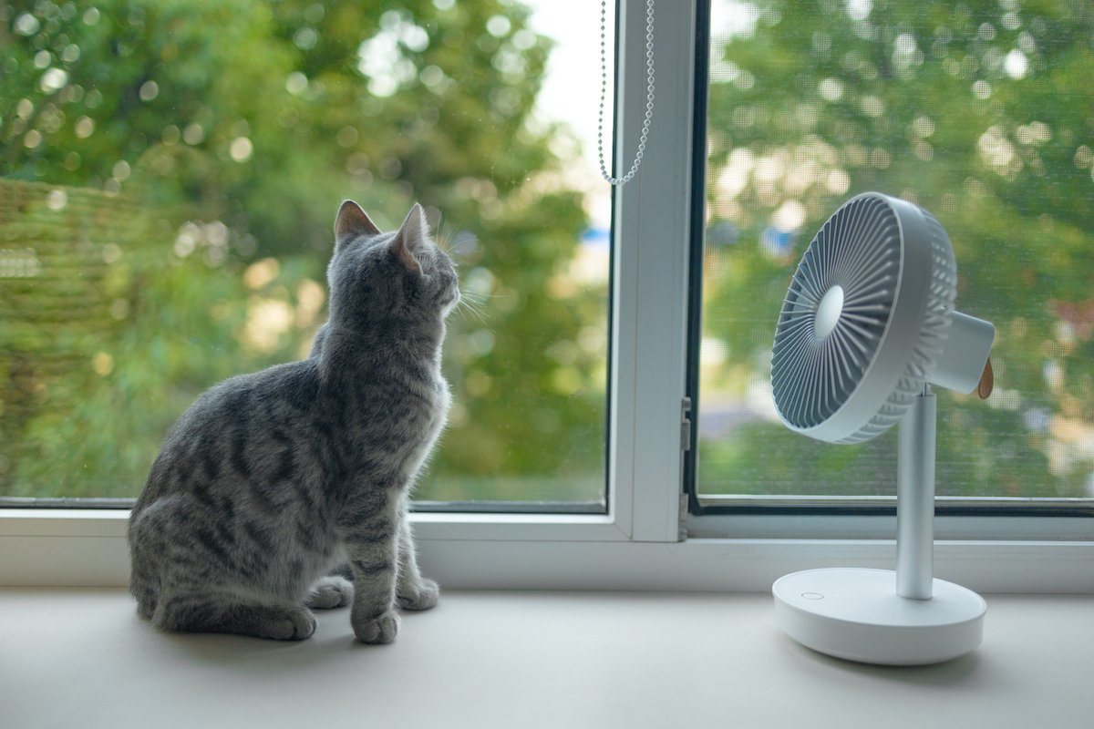 ventilátor