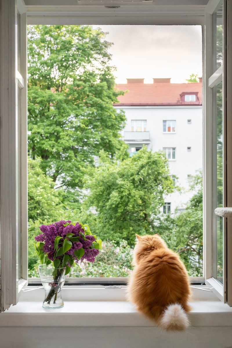 ablak ablakban perzsa szellőztetés