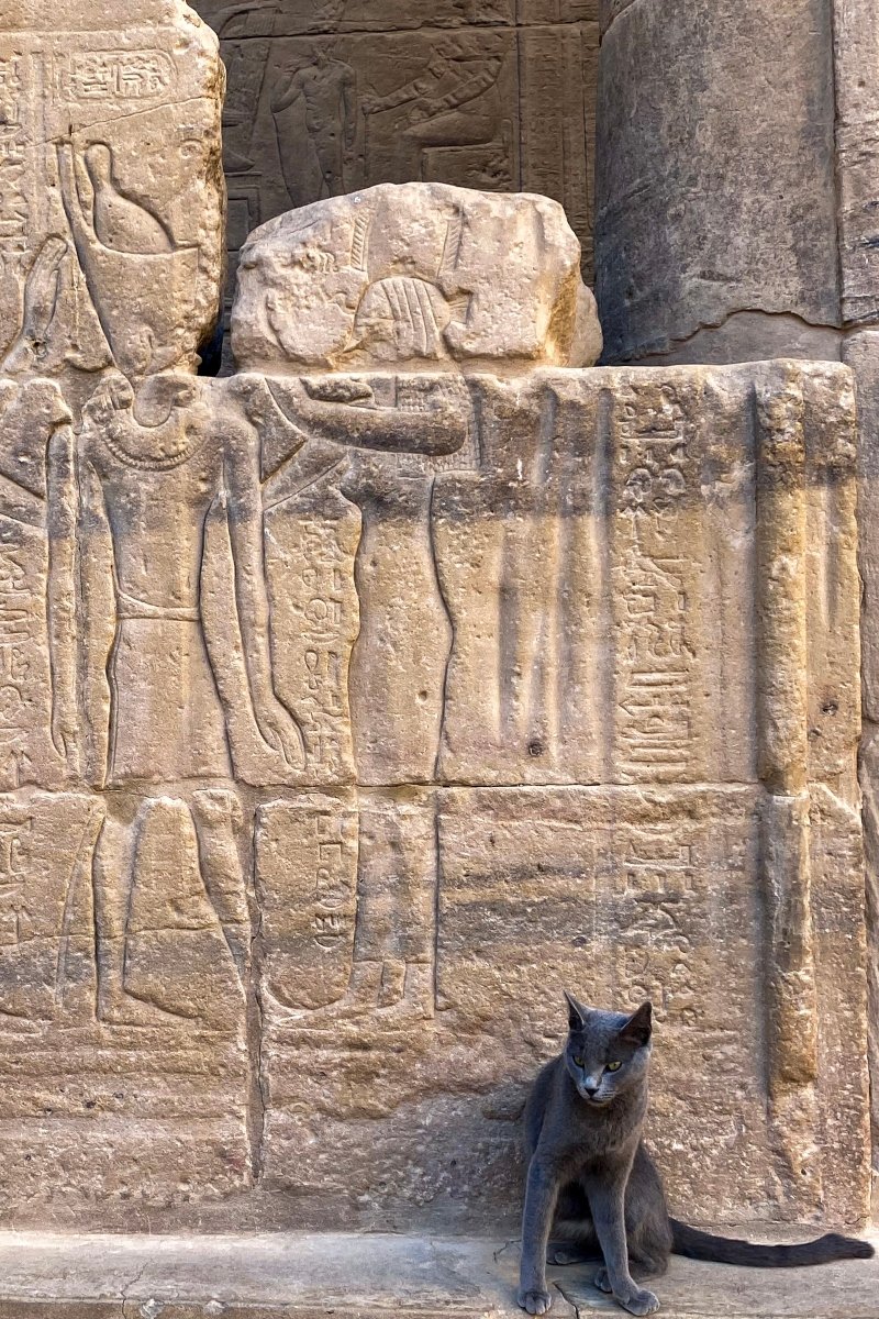 egyiptom