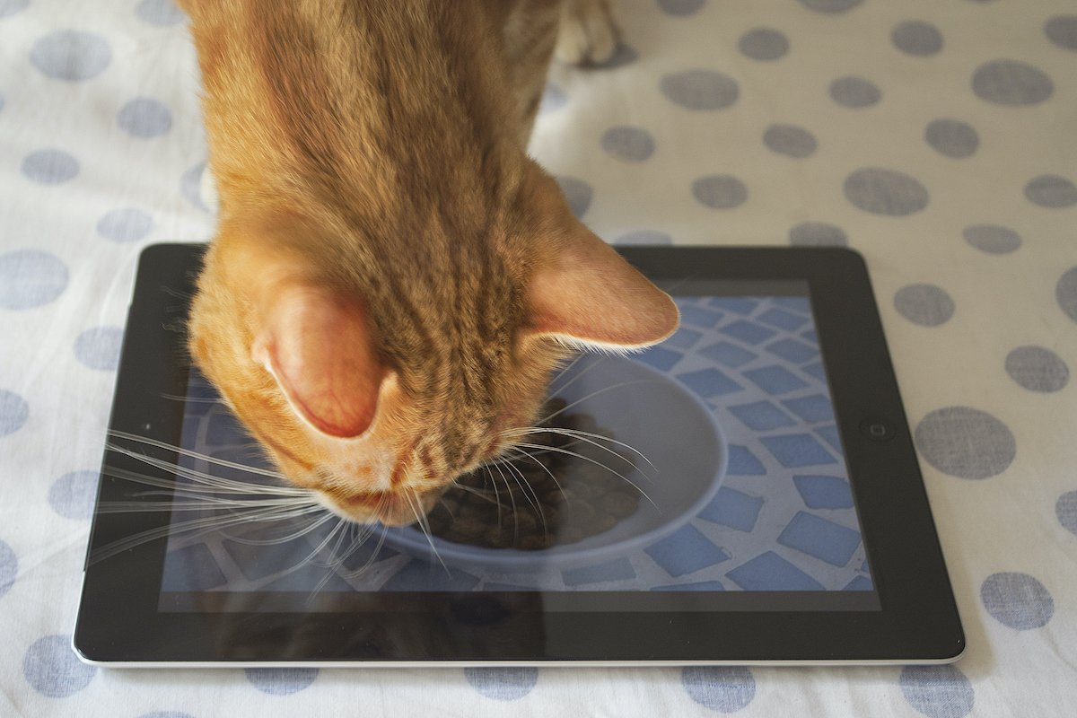 tablet