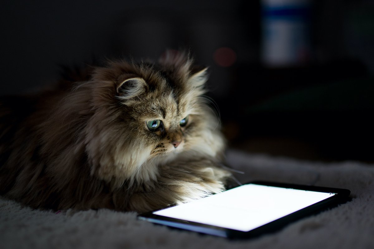 tablet