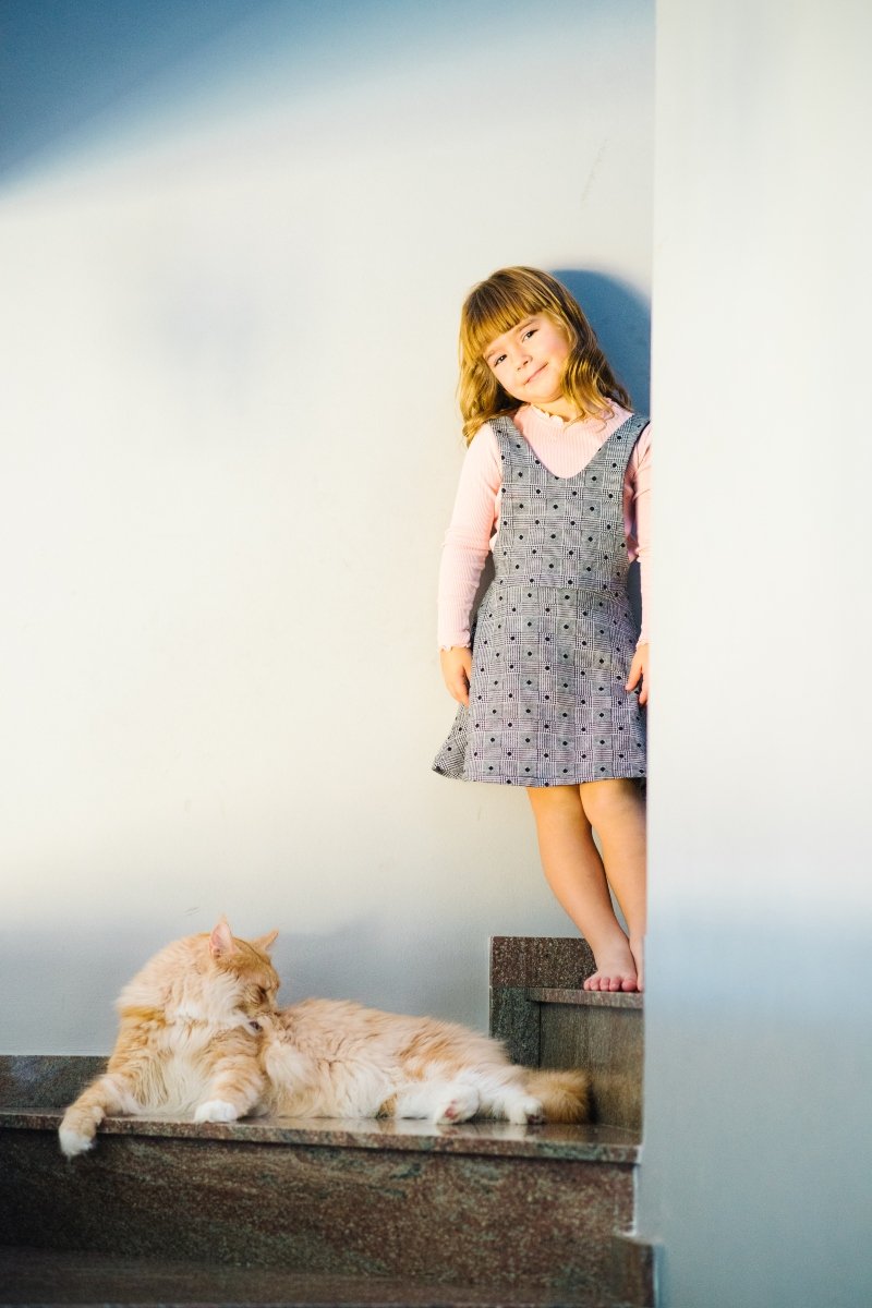 maine coon gyerek