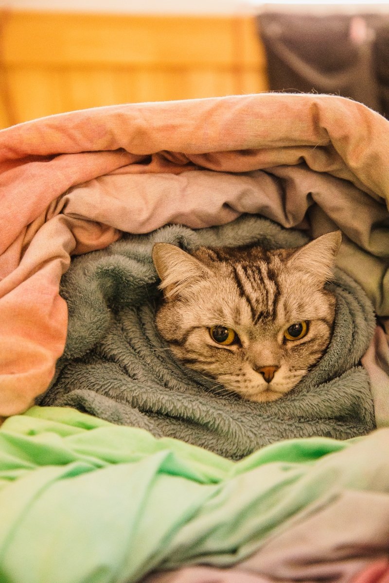 fázik hideg tél ősz pléd