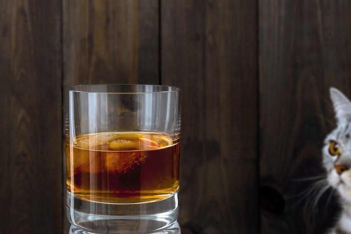 whisky