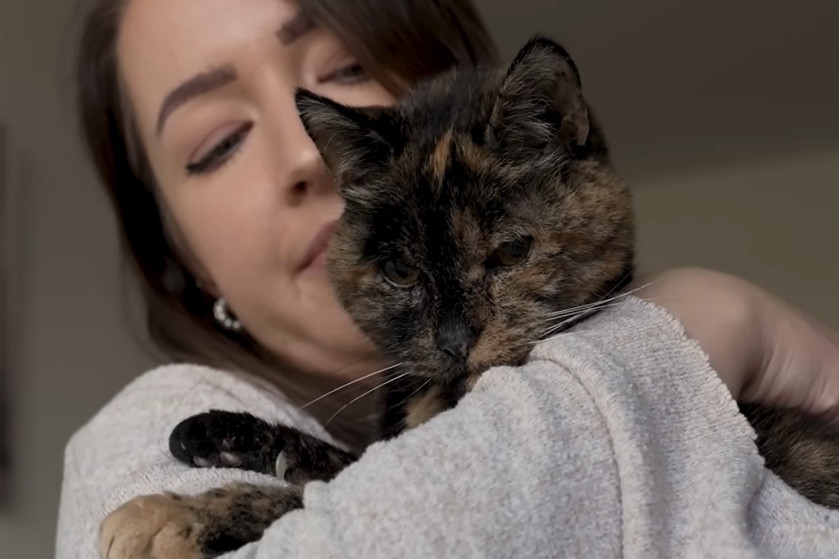 flossie legöregebb macska