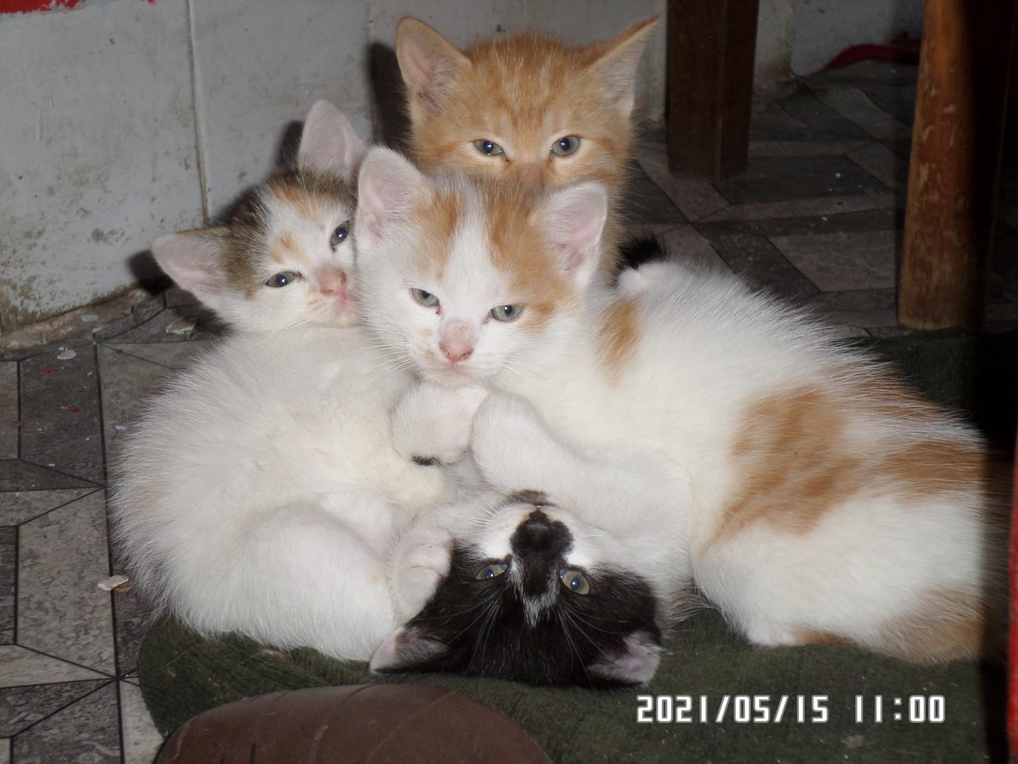 2023_01_img6758-scaled.jpg