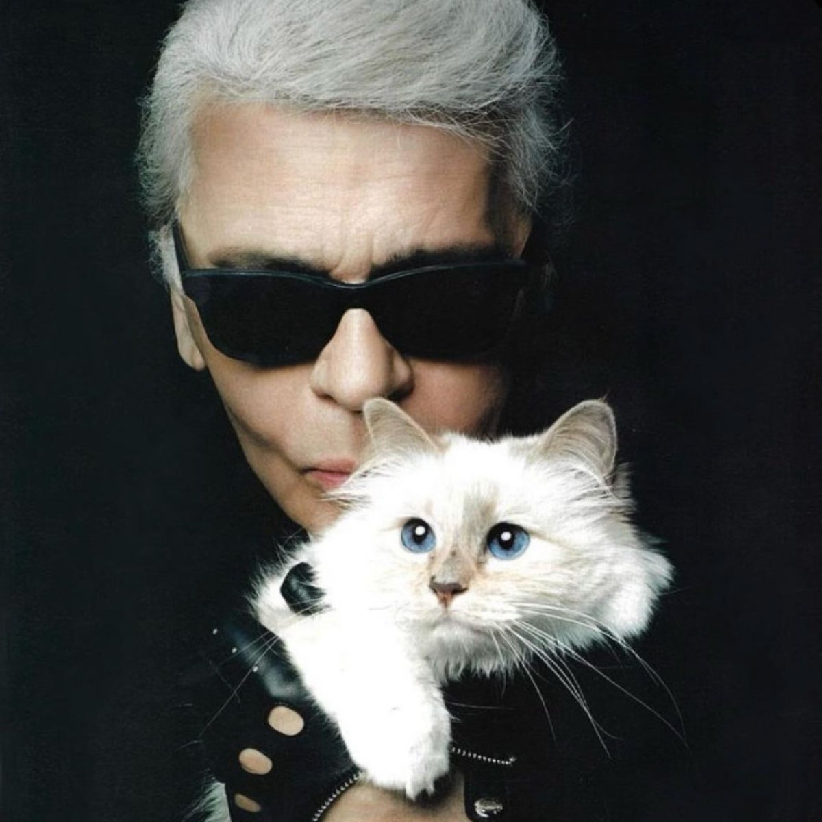 choupette lagerfeld