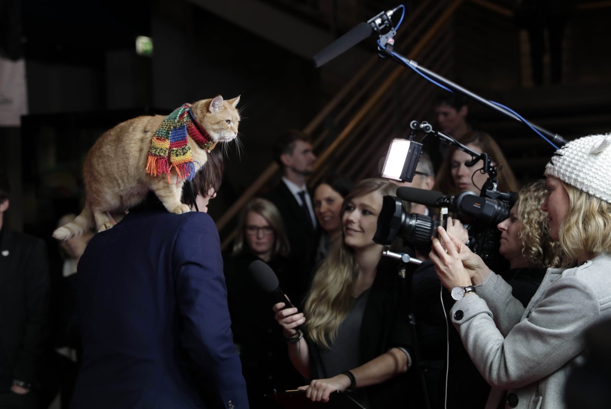 2023_02_gettyimages-1042268726-scaled.jpg