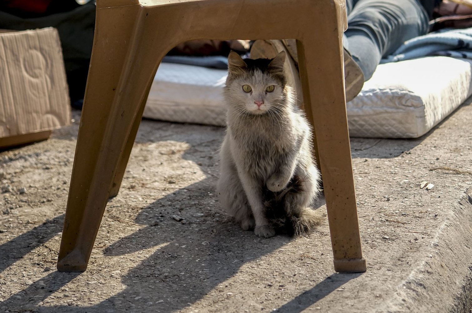 Views from quake-hit Hatay