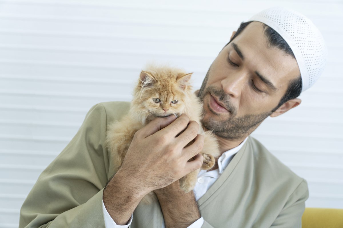 Handsome muslim man holding lovely brown cut furry kitten in own hand looking attention their healthy standing together indoors with daylight. Arab male love orange fluffy cute pet cat. Animal friend.