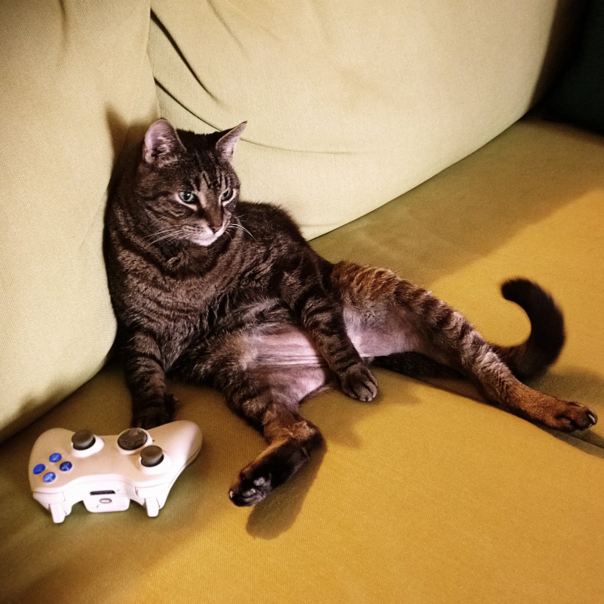 Leisure time