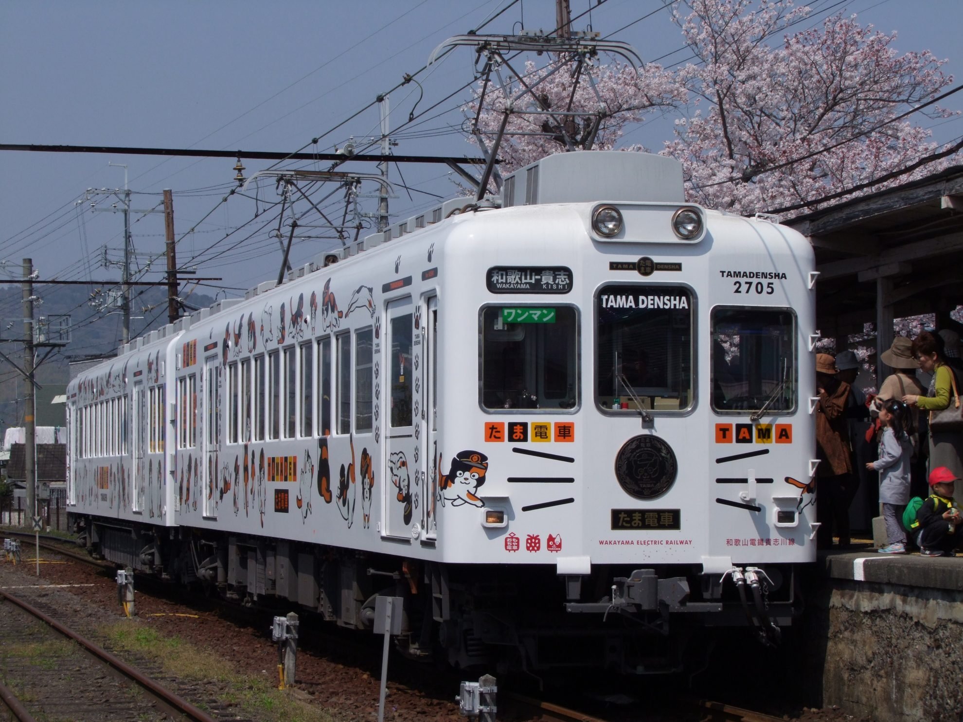 2023_04_wakayamaelectricrailwaykuha2705tama-200904-scaled.jpg
