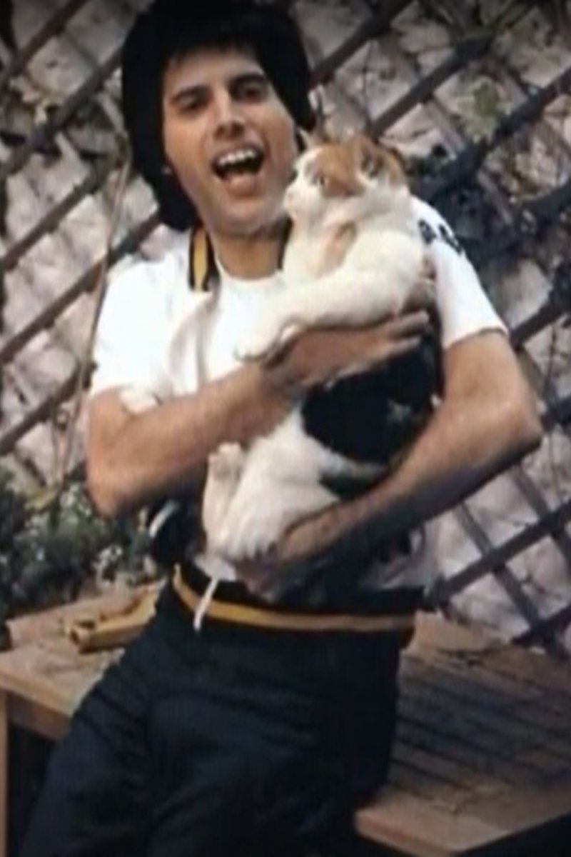 Freddie Mercury