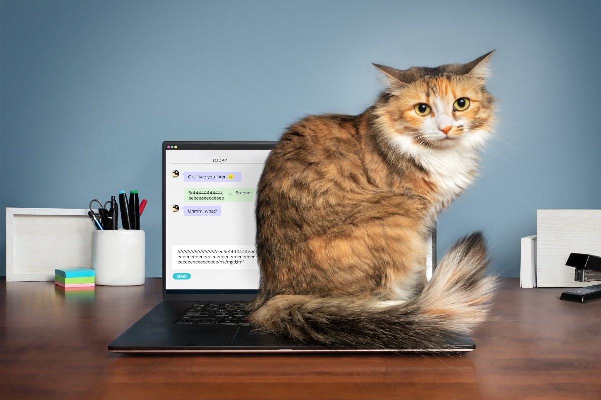 asztal számítógép billentyűzet laptop