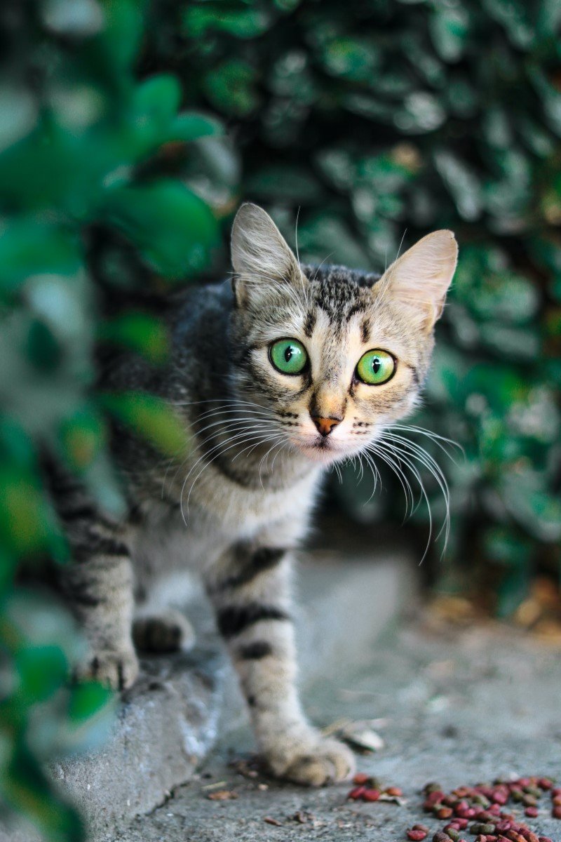 GettyImages-1454672500