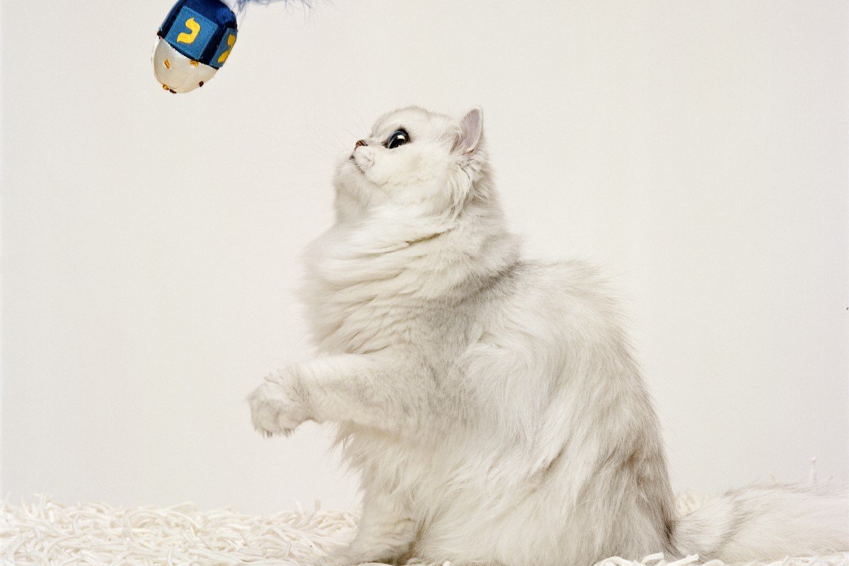 GettyImages-sb10069983d-003