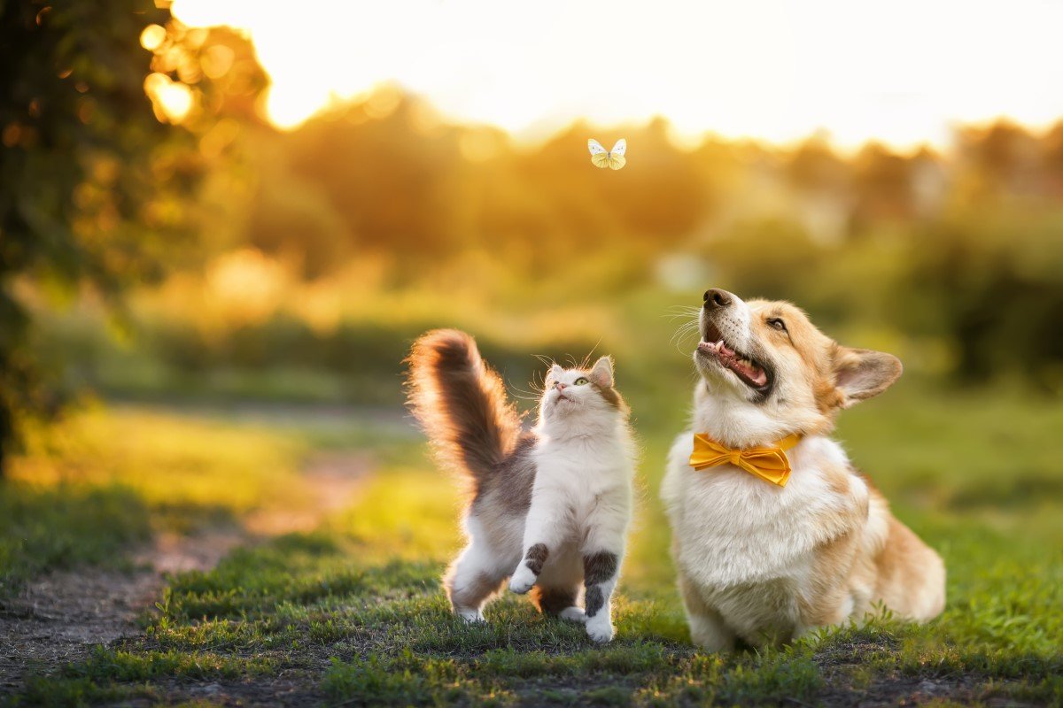 GettyImages-1349349263