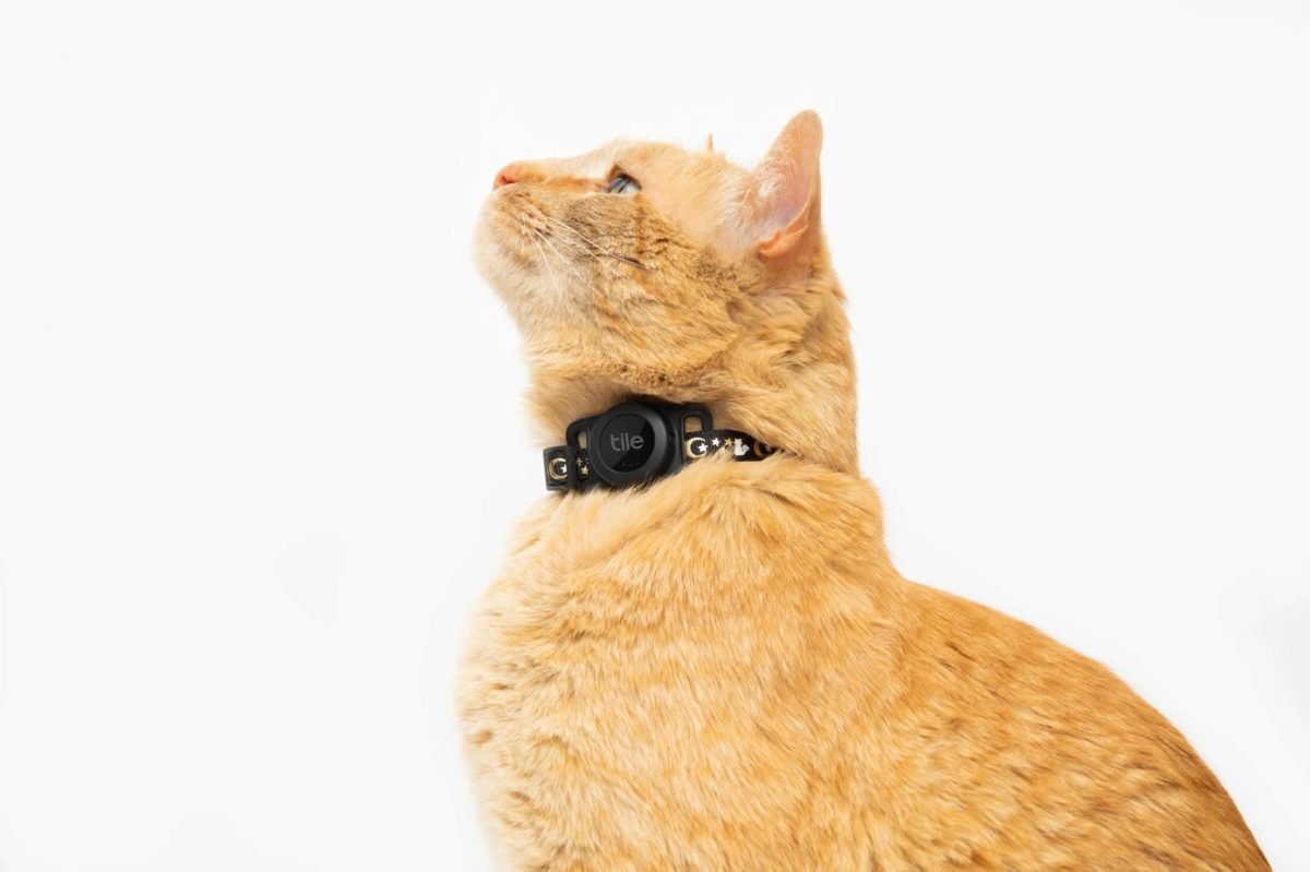 2023_06_life360tileforcats2-e1686144884423.jpg