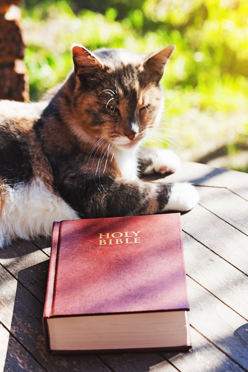 biblia vallás