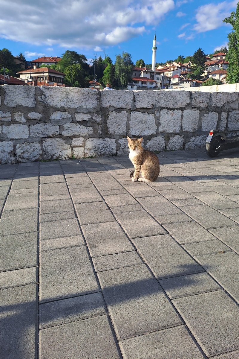 Szarajevó