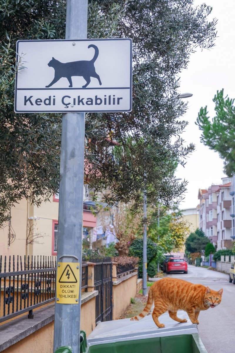 útjelző tábla út közlekedés vörös törökország