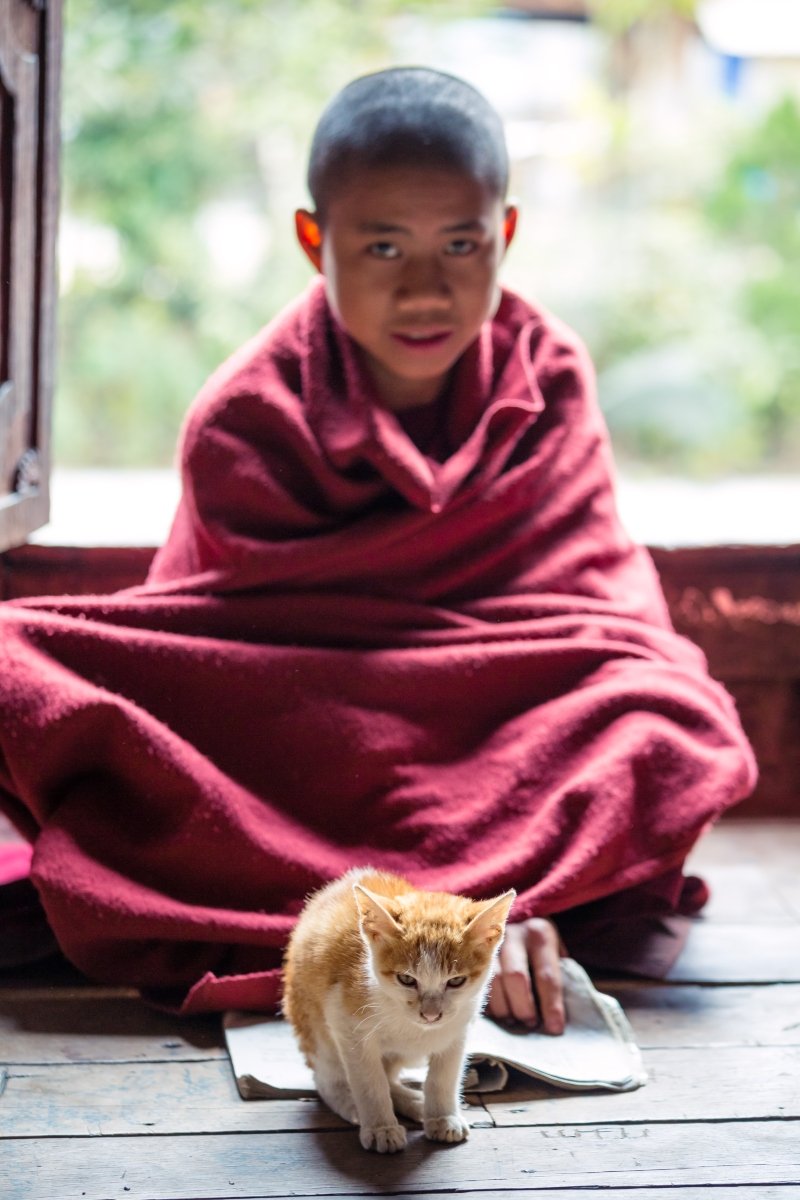 szerzetes buddhista