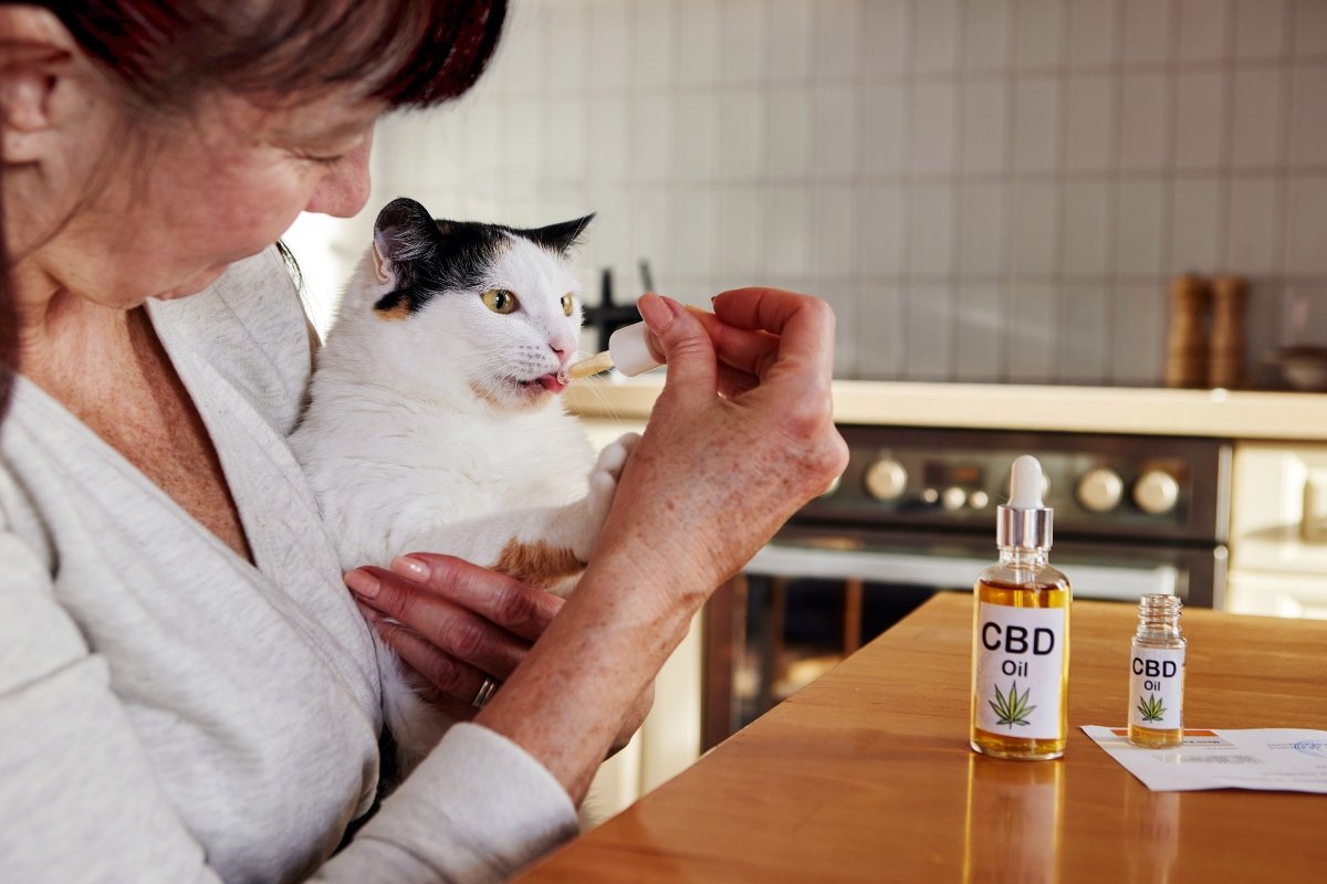 cbd gyógyszer gazdi