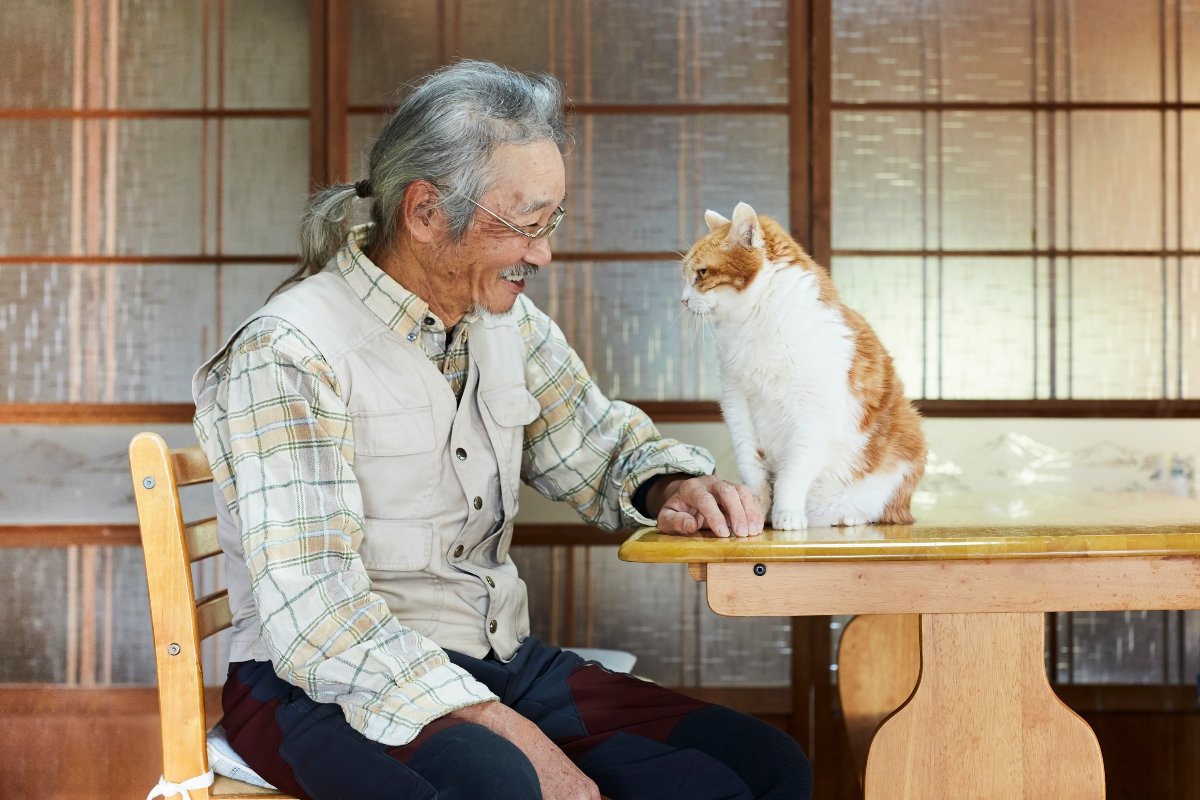 japán férfi macskával