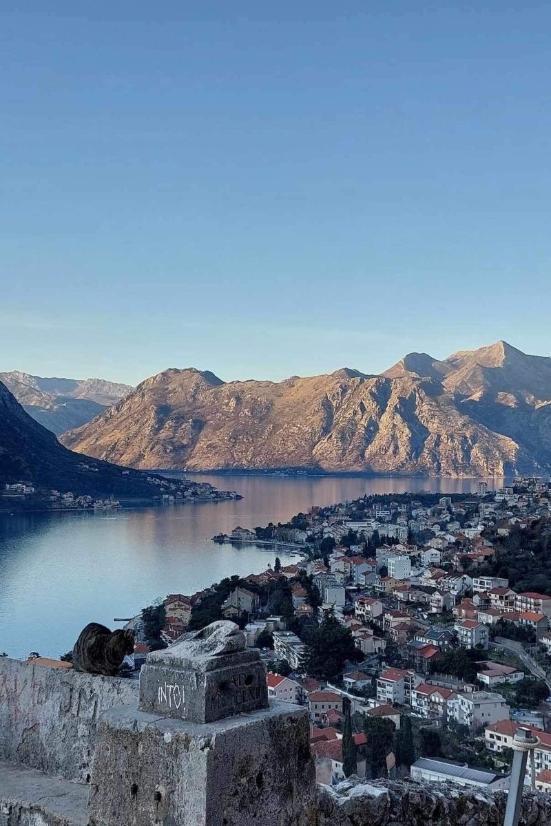 kotor