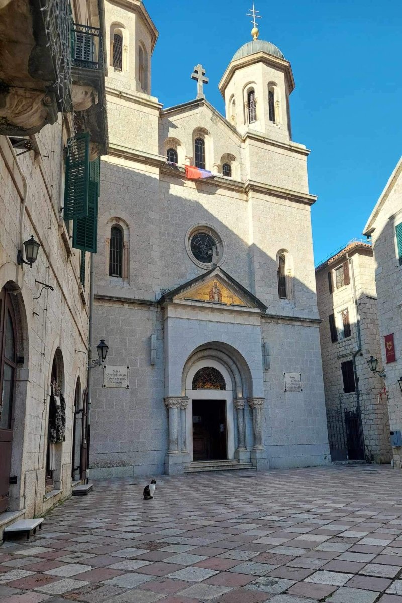 kotor