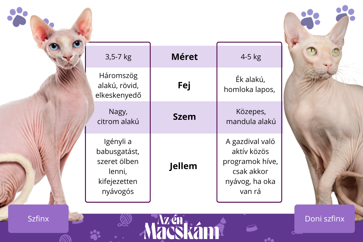 Szfinx és doni szfinx