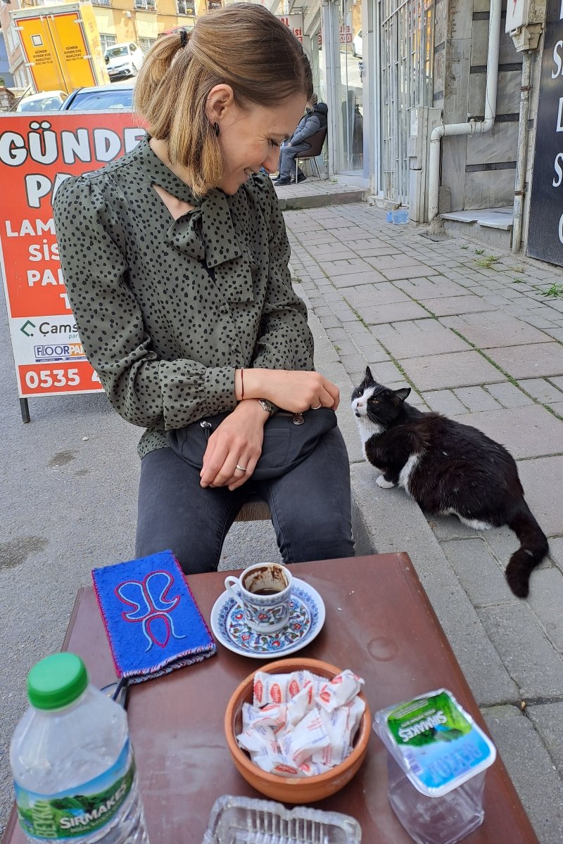 isztambul macskái 7