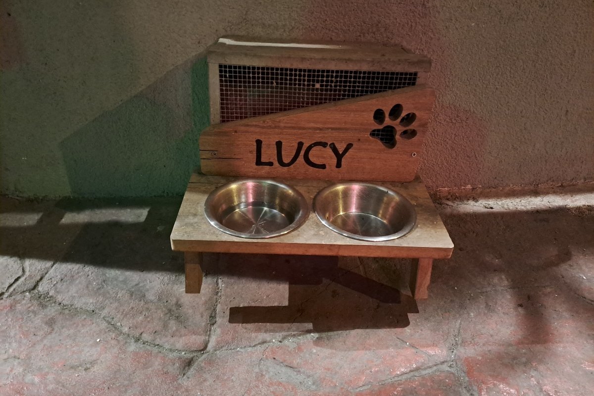 isztambul macskái tál