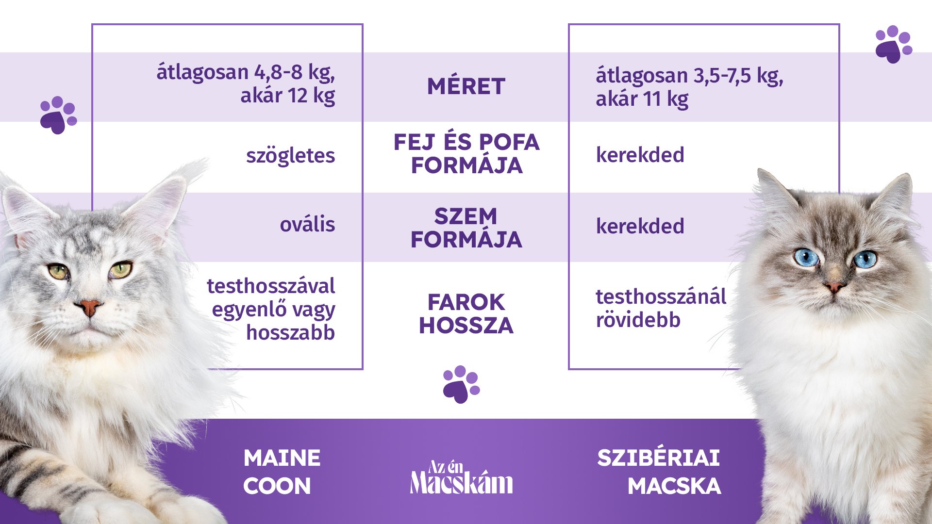 fajta_osszehasonlitas_AÉM