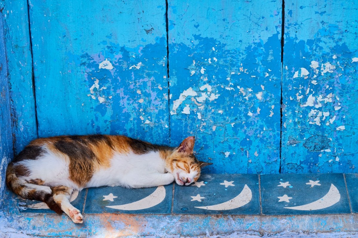 Marokkó kék város Chefchaouen