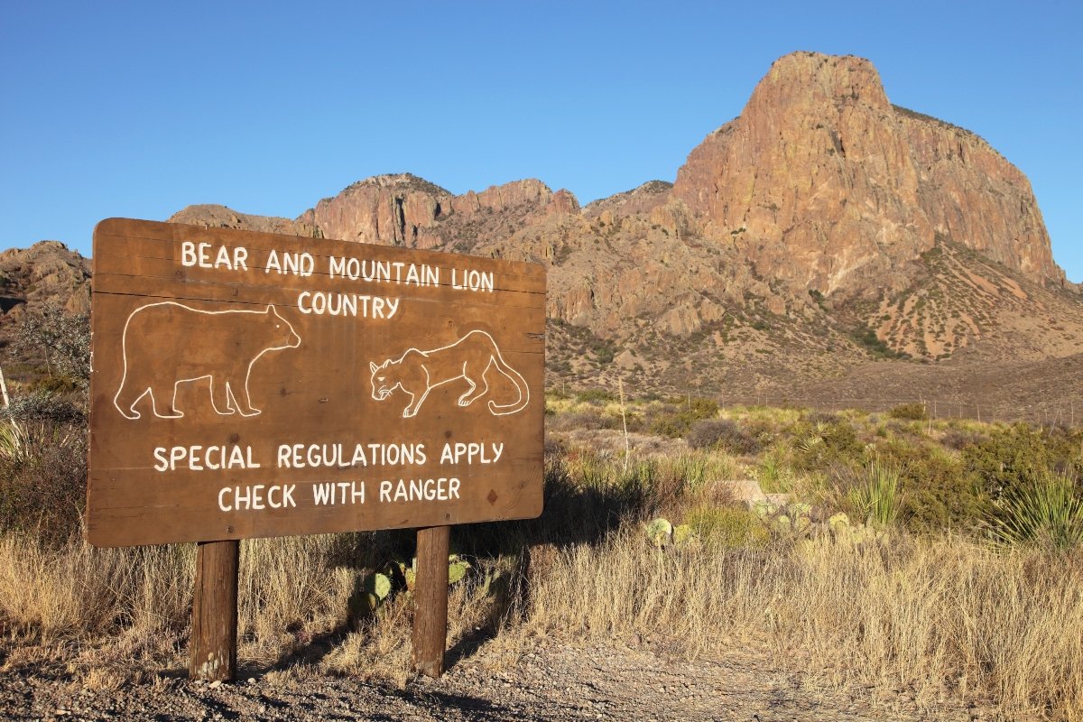 Pumára figyelmeztető tábla Texasban