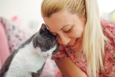 macska szereti a gazdáját