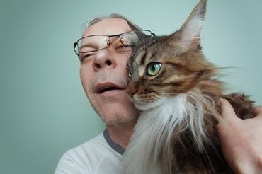 macska a gazdájához dörgölőzik