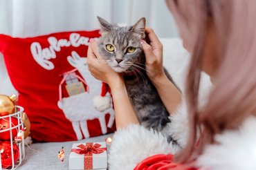 macska karácsonyi dekorációk között