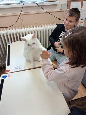 Babó munka közben