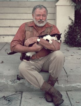 Ernest-Hemingway macskával kubai otthonában 1954