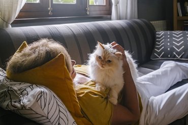 Perzsa macska pihen a kanapén fekvő gazdáján