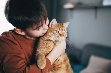 Egy fiú puszit ad vörös macskájának