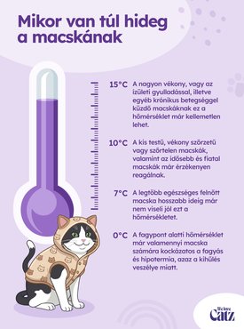 Mikor van túl hideg a macskának grafika