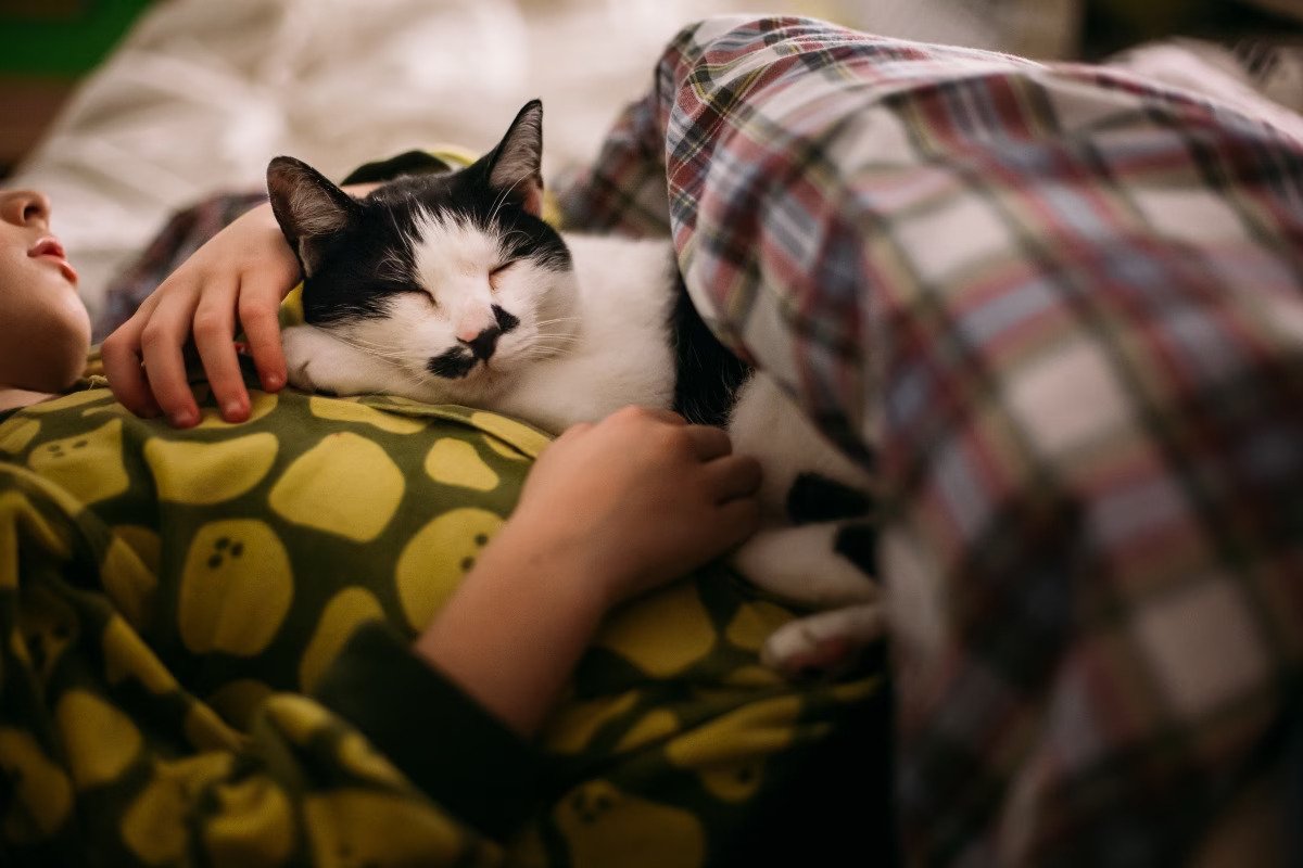cat sleeping with owner in bed