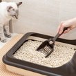 cat watching human while cleaning litterbox